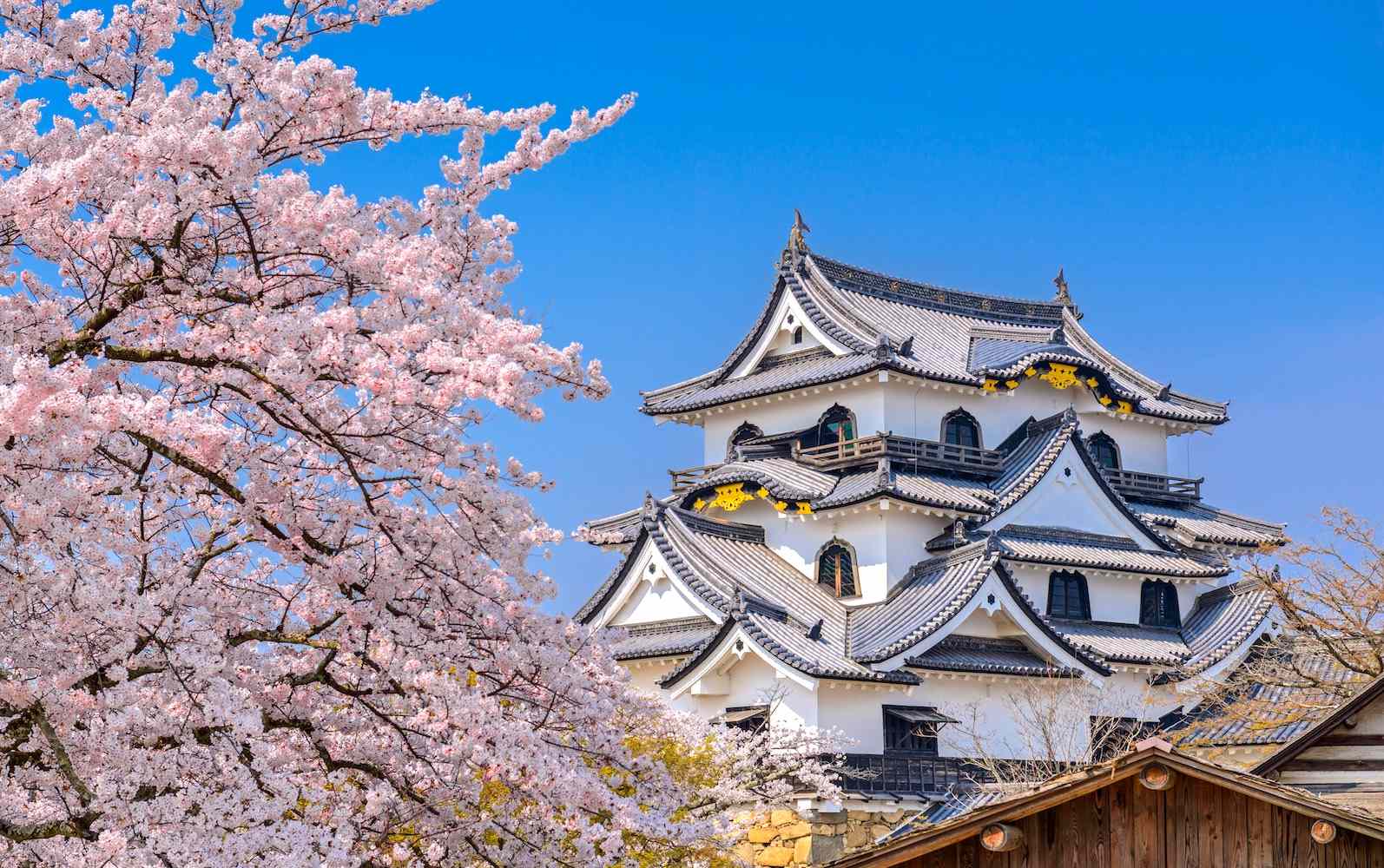 Hikone, Japan – Travel Tips