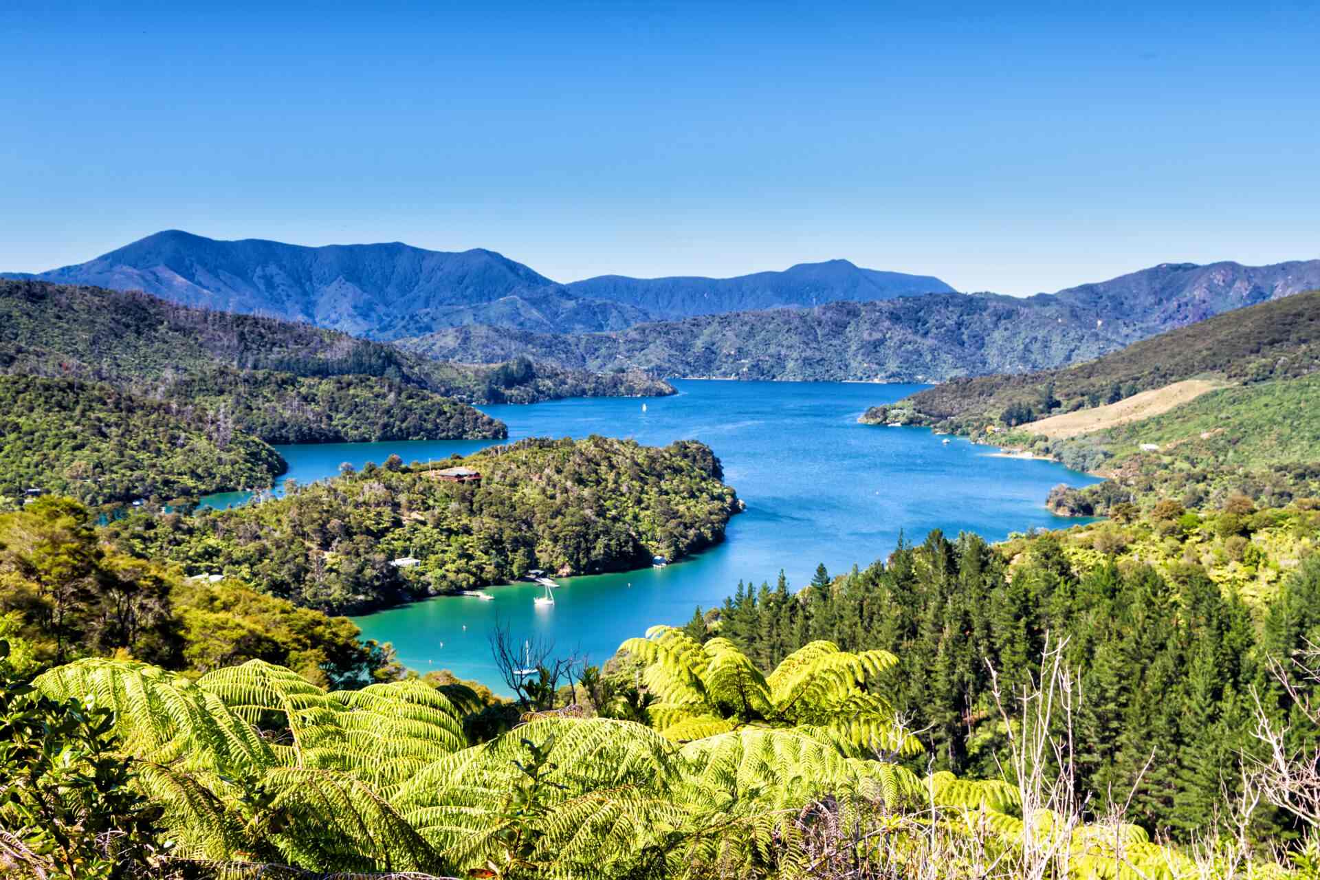Picton, New Zealand – Travel Tips
